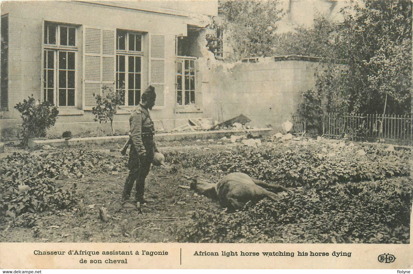 Militaria - Militaire Chasseur D'afrique Assistant à L'agonie De Son Cheval - Ww1 - Régiment - Weltkrieg 1914-18