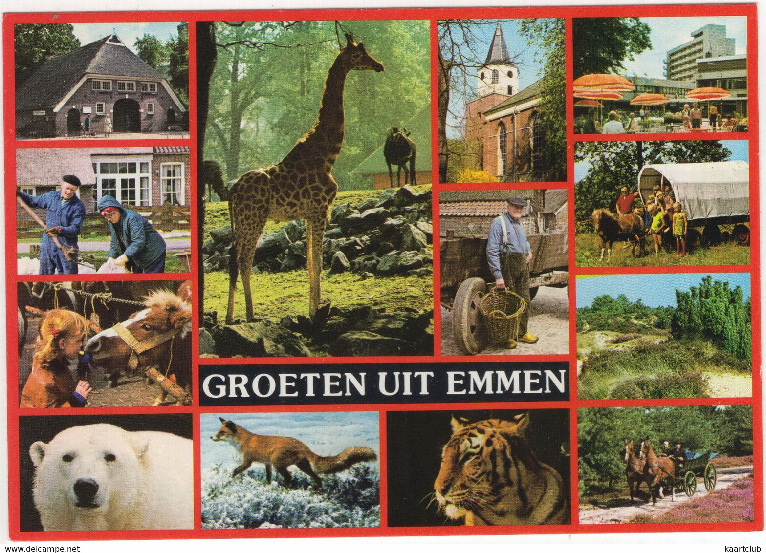 Groeten Uit Emmen - (Drenthe, Nederland) - Nr. L 7876 - Dierenpark, Zoo: IJsbeer, Tijger, Giraffe, Boerenleven - Emmen