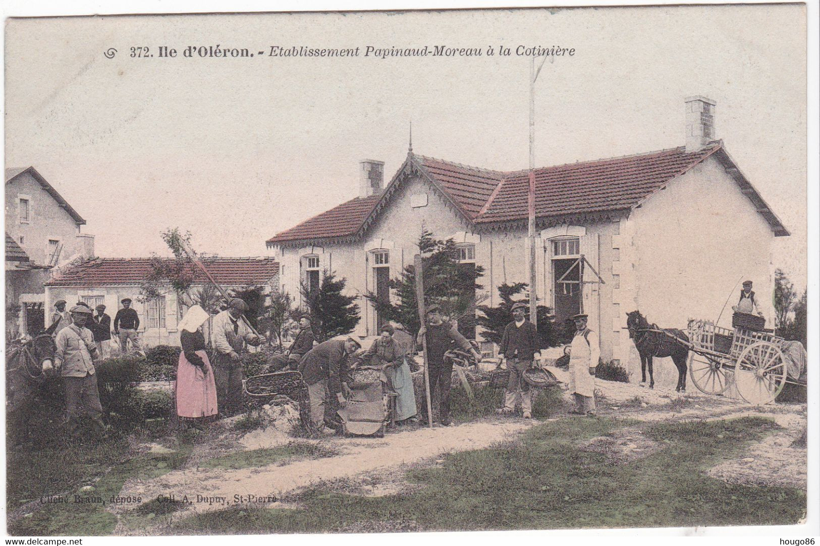 Ile D'Oléron, Etablissement Papinaud-Moreau à La Cotinière - Ile D'Oléron