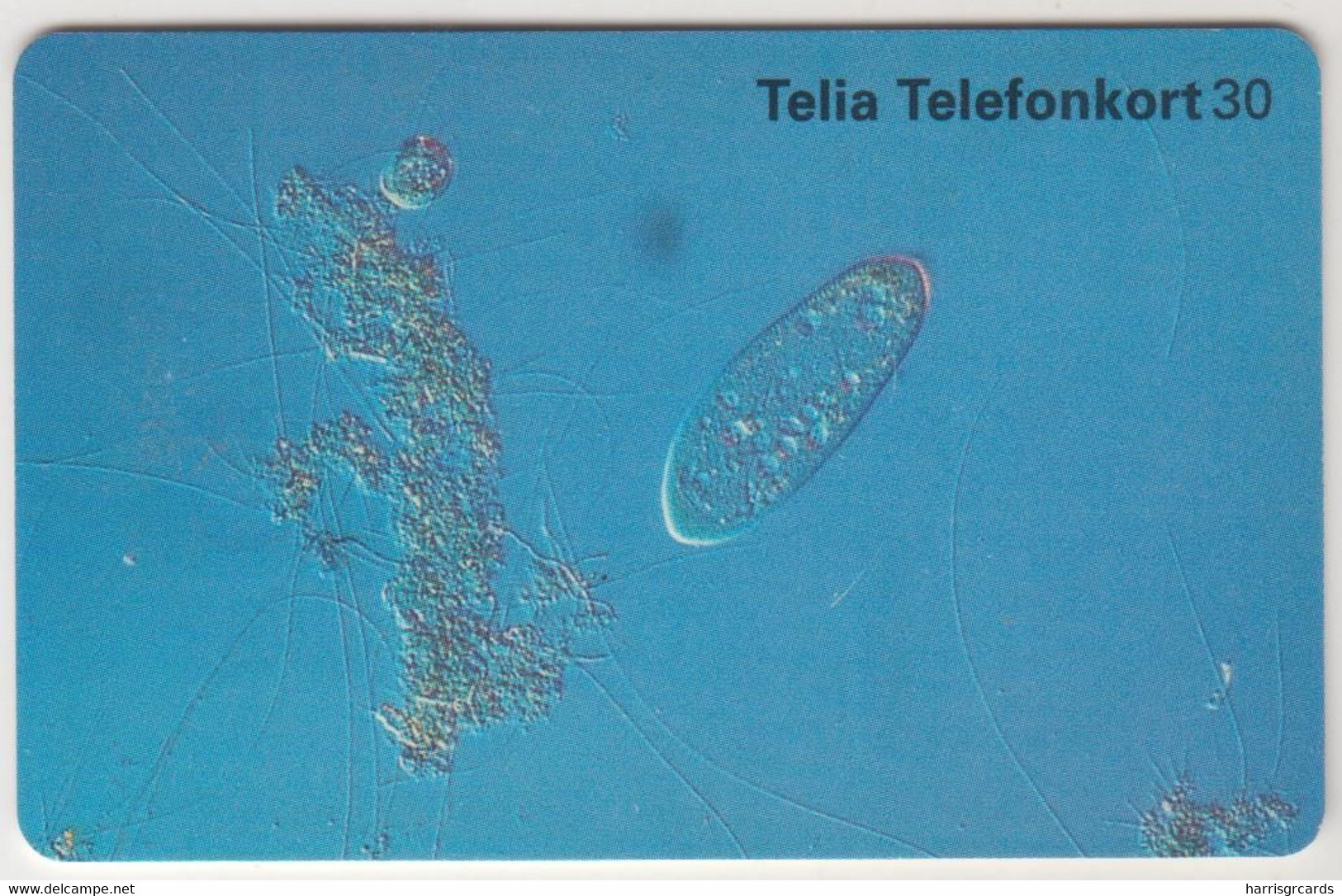 SWEDEN - Microorganism , Telia 30U, 11/97, Tirage 100.000, Used - Schweden