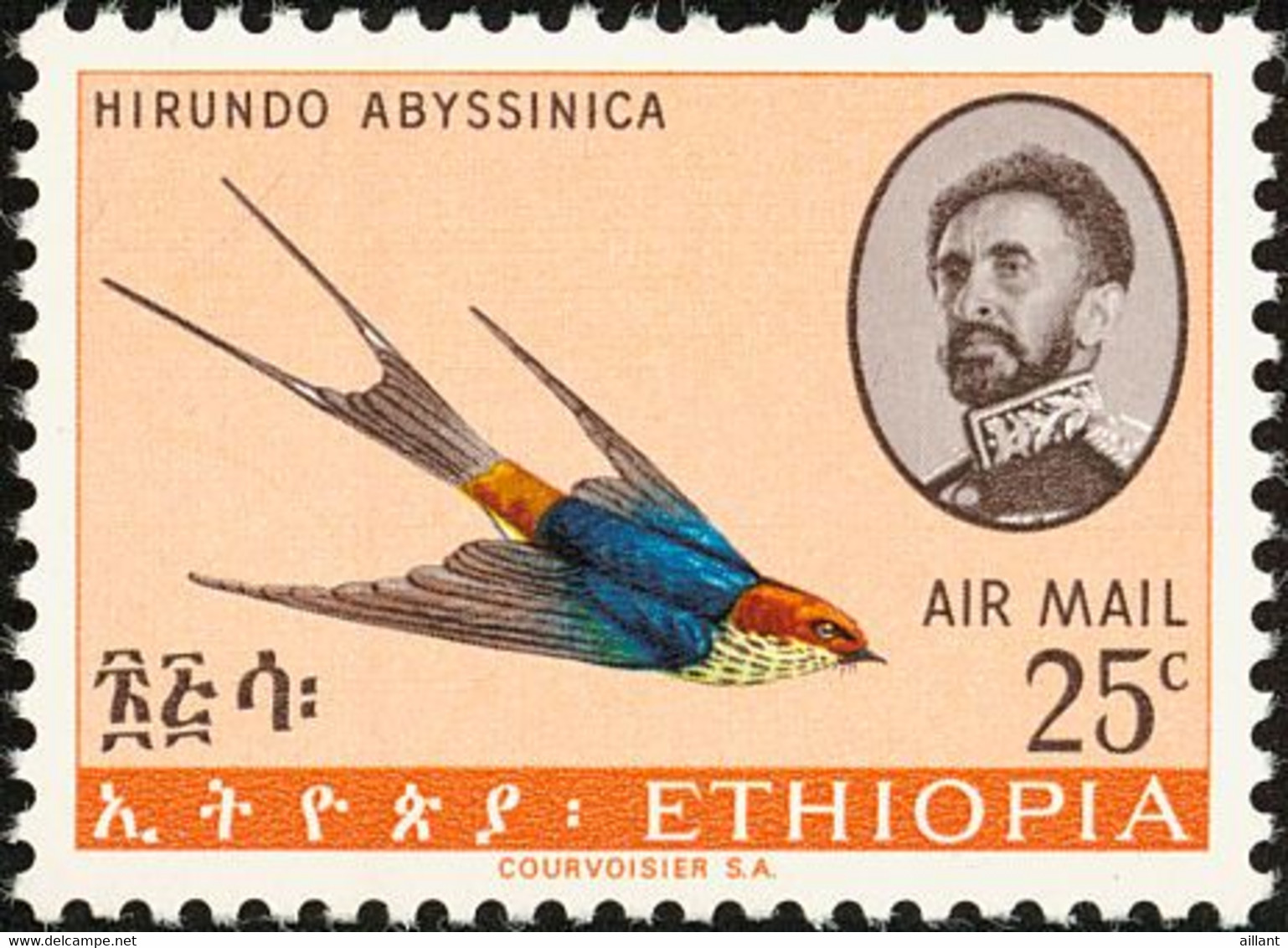 Ethiopie. Ethiopia. 1967 .  Hirondelle Striée.  Lesser Striped Swallow - Golondrinas