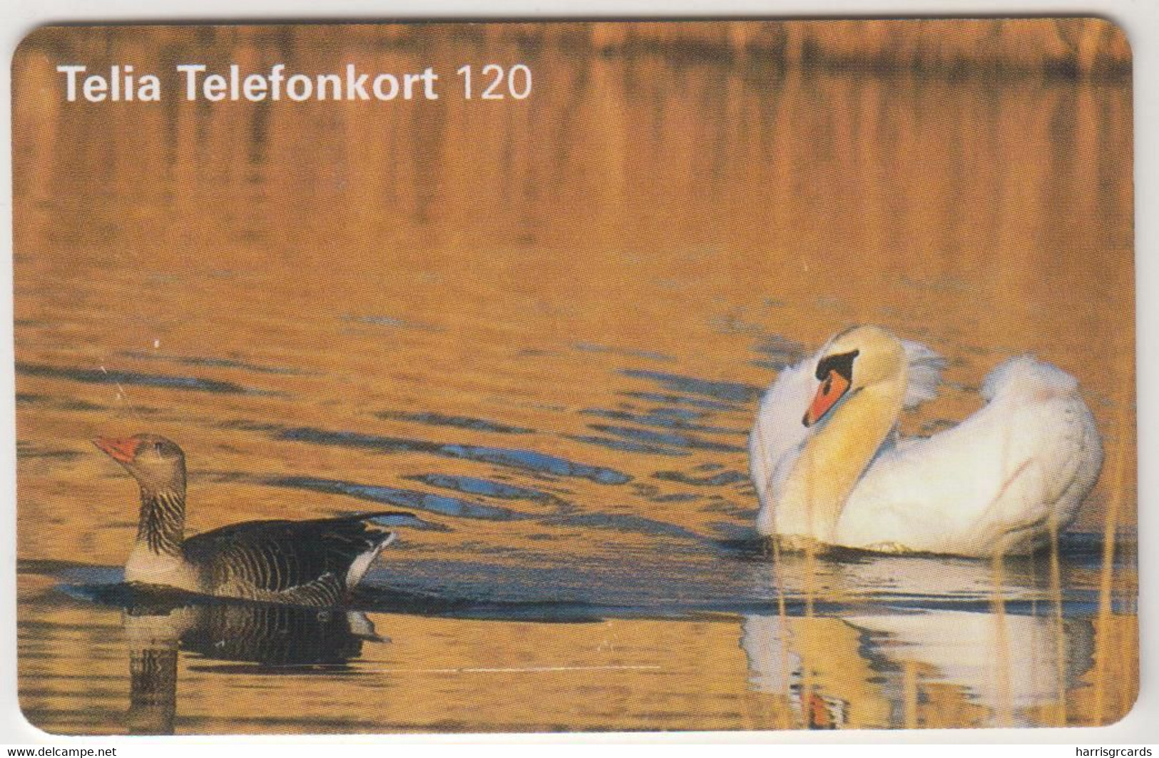 SWEDEN - Duck And Swan , Telia 120U, 04/99, Tirage 100.000, Used - Schweden