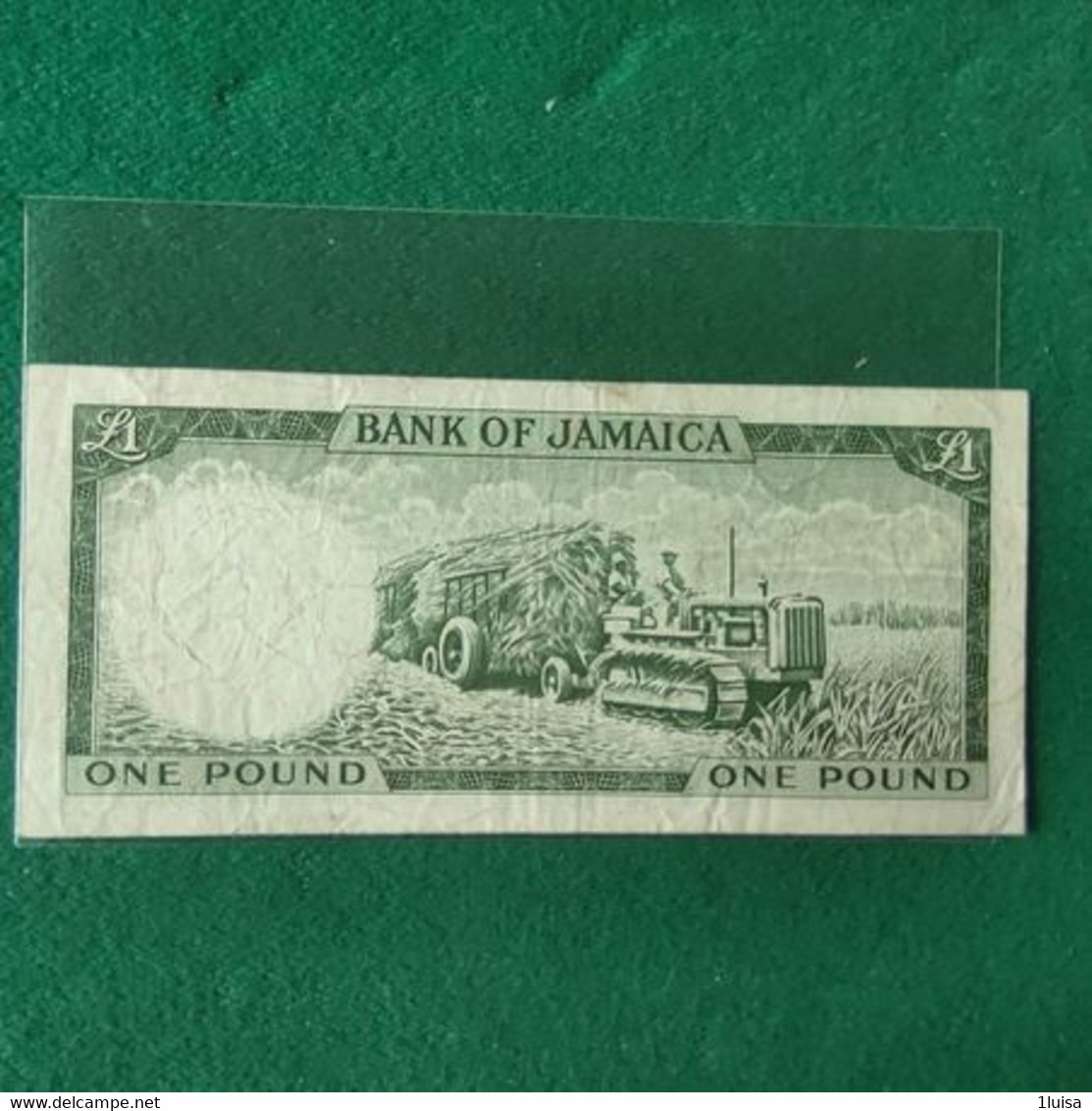 GIAMAICA 1 POUND  1960 - Jamaique