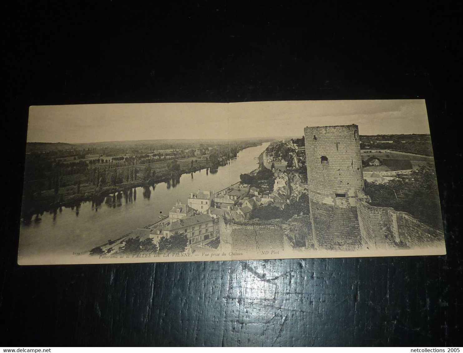 PANORAMA DE LA VALLEE DE LA VIENNE - VUE PRISE DU CHATEAU - 38 ISERE (BW) - Vienne