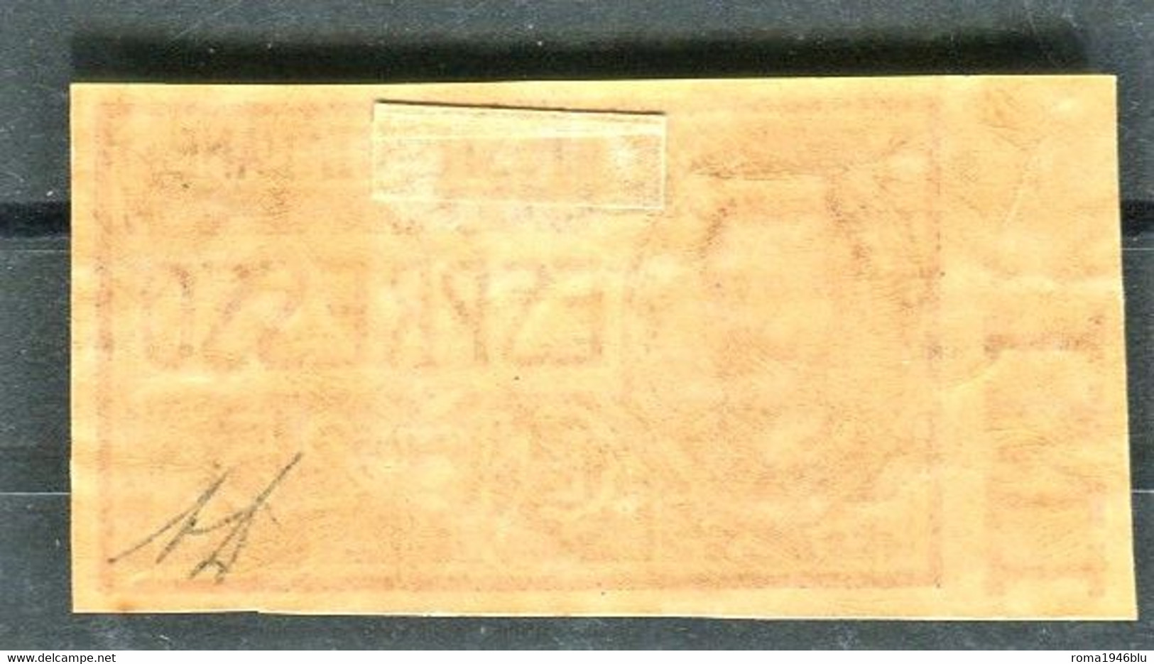 REGNO 1903 ESPRESSO 25 C.  NON DENTELLATO * GOMMA ORIGINALE F.TO DIENA - Express Mail