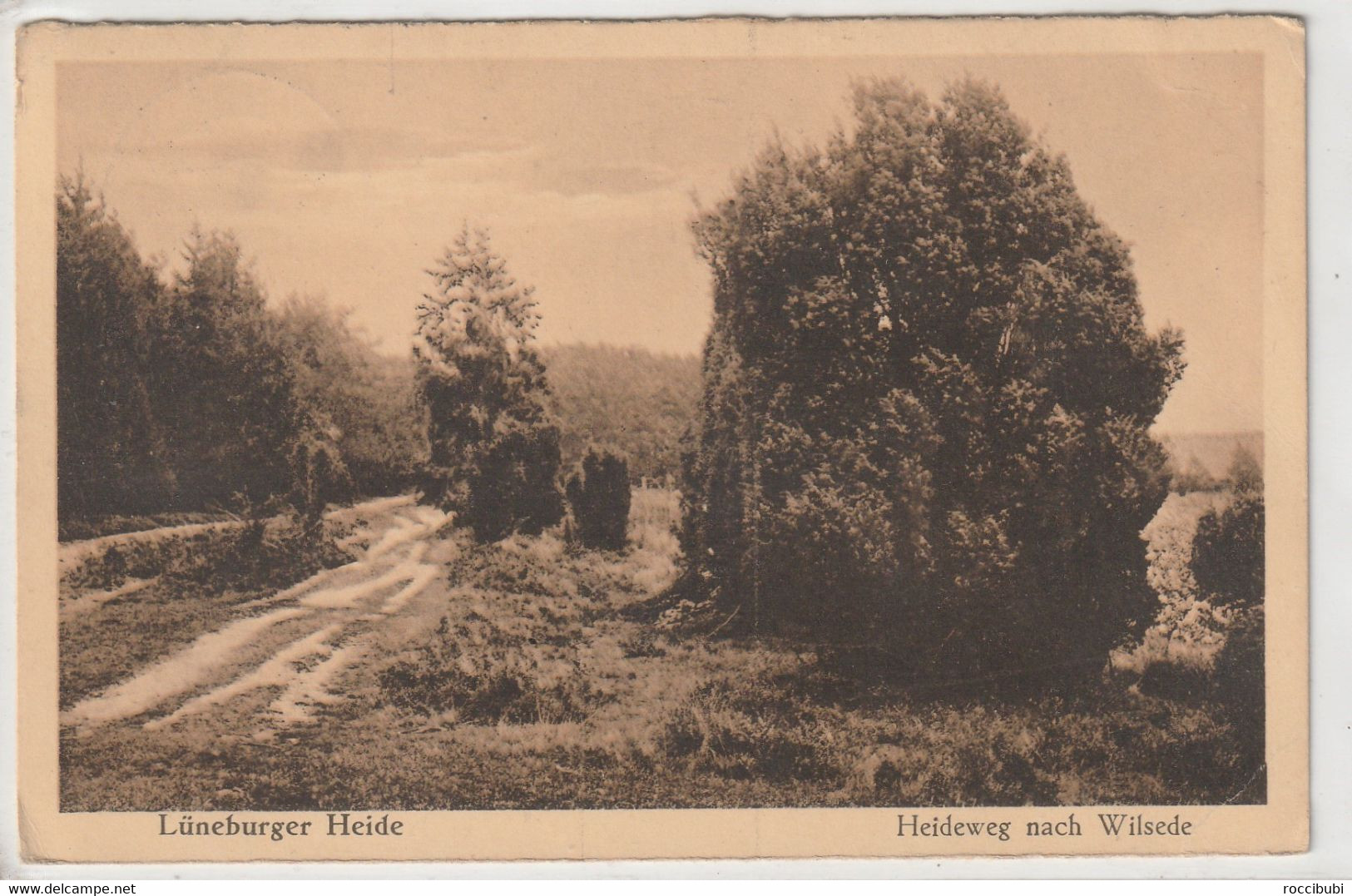 Lüneburger Heide - Lüneburger Heide