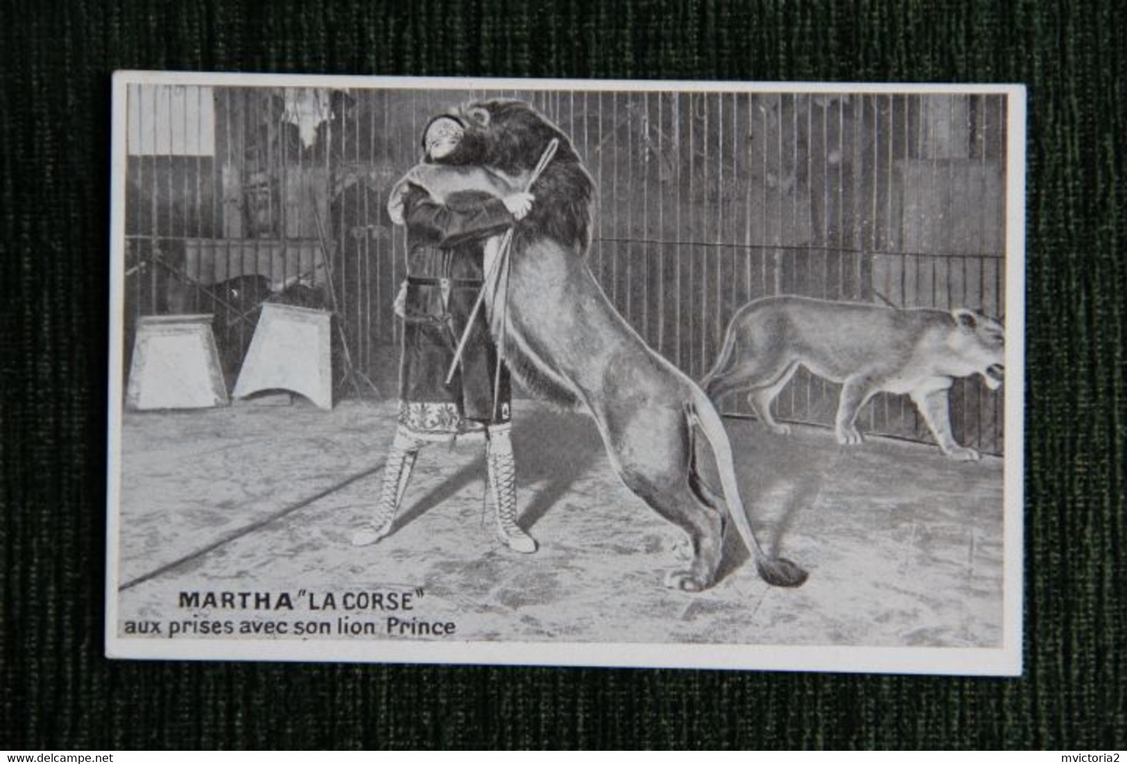 CIRQUE : MARTHA " LA CORSE " Aux Prise Avec Son Lion " PRINCE ". - Circo