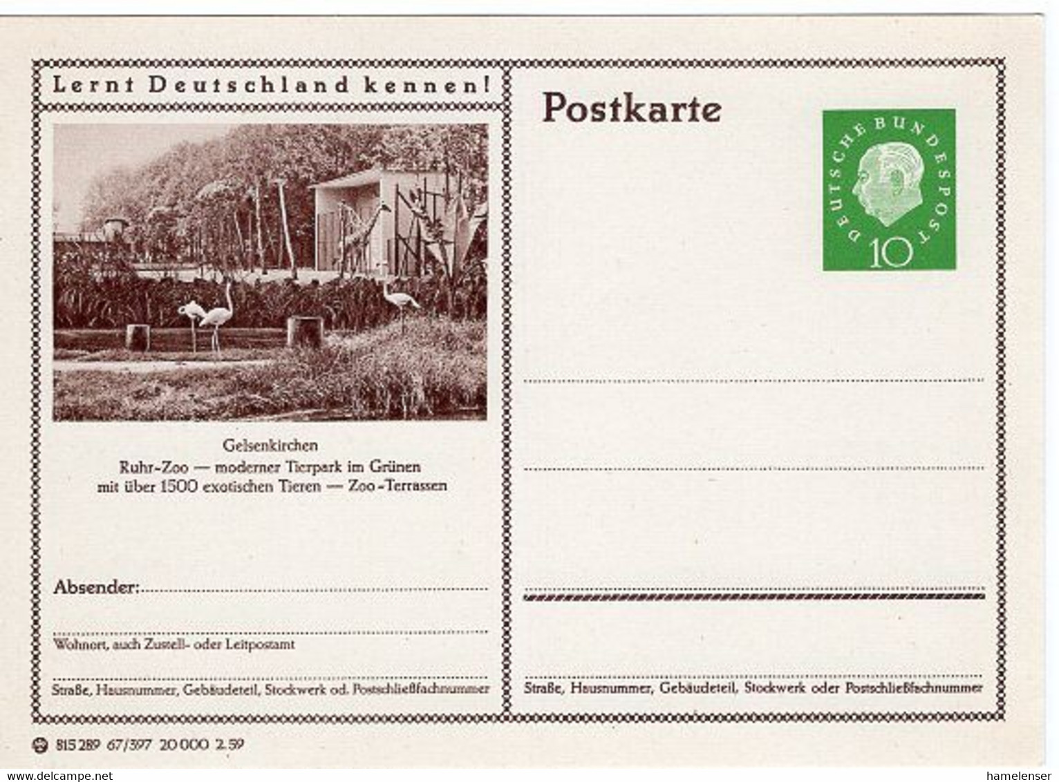 50261 -  Bund - 1959 - 10Pfg. Heuss III Bild-GAKte. "Flamingos" & "Giraffen" Ungebr. - Flamants