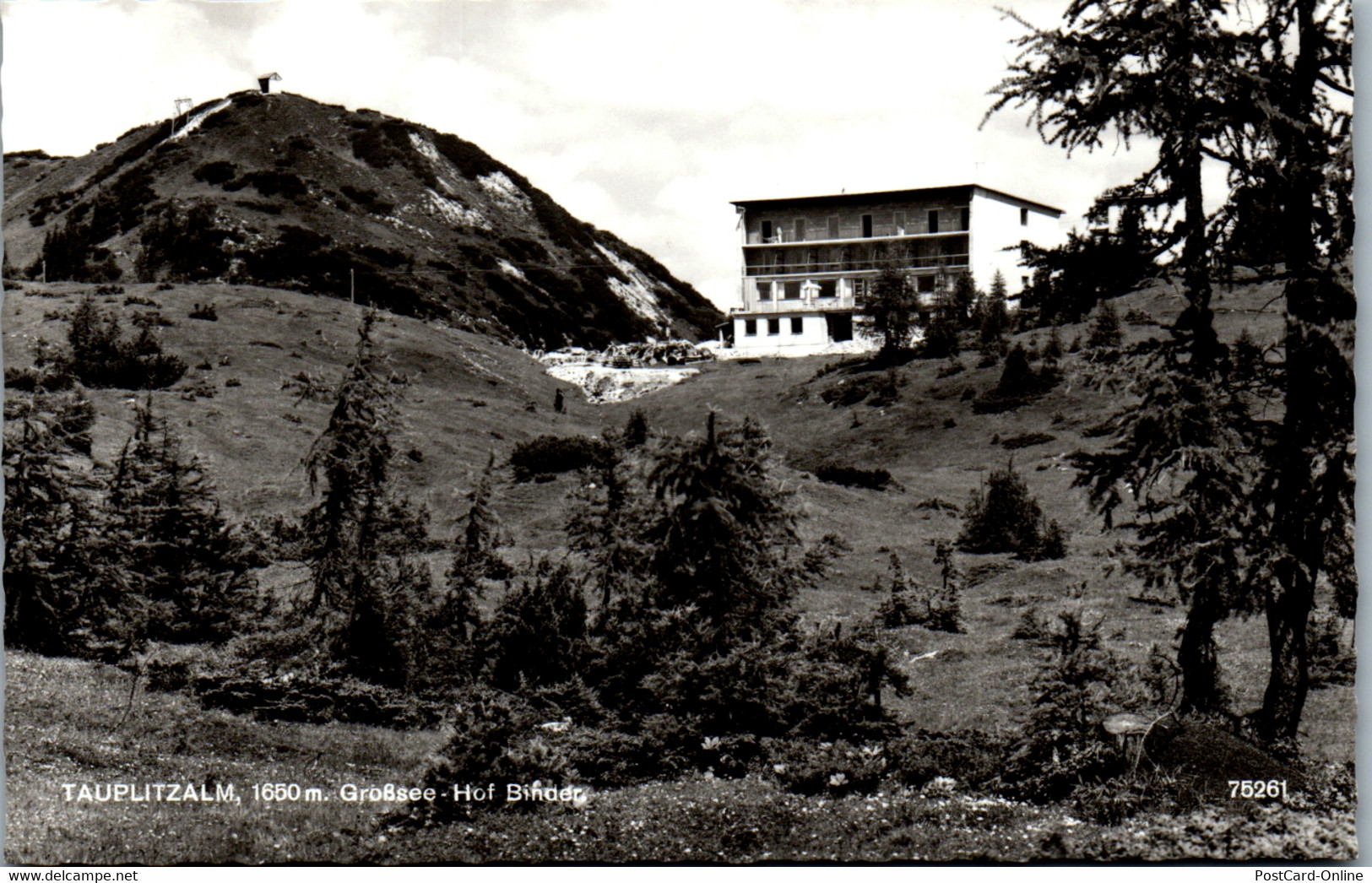 21351 - Steiermark - Tauplitzalm , Großsee , Hof Binder - Tauplitz