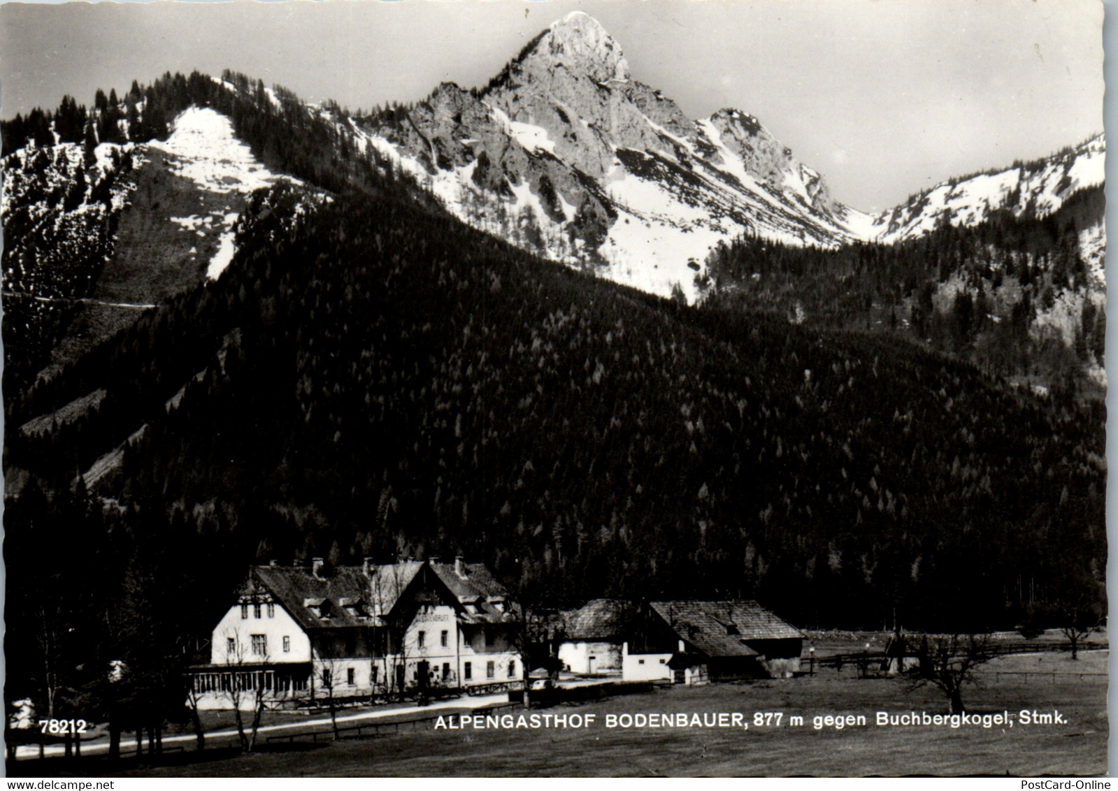 21364 - Steiermark - Thörl , St. Ilgen , Alpengasthof Bodenbauer Gegen Buchbergkogel - Thörl Bei Aflenz