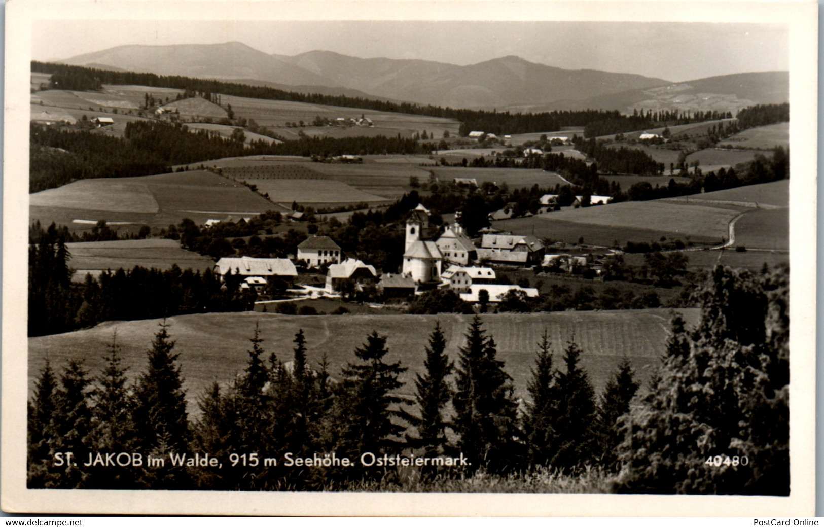 21378 - Steiermark - St. Jakob Im Walde , Panorama - Fürstenfeld