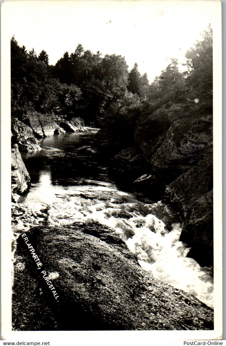 21393 - Niederösterreich - Purgstall An Der Erlauf , Erlaufpartie - Purgstall An Der Erlauf