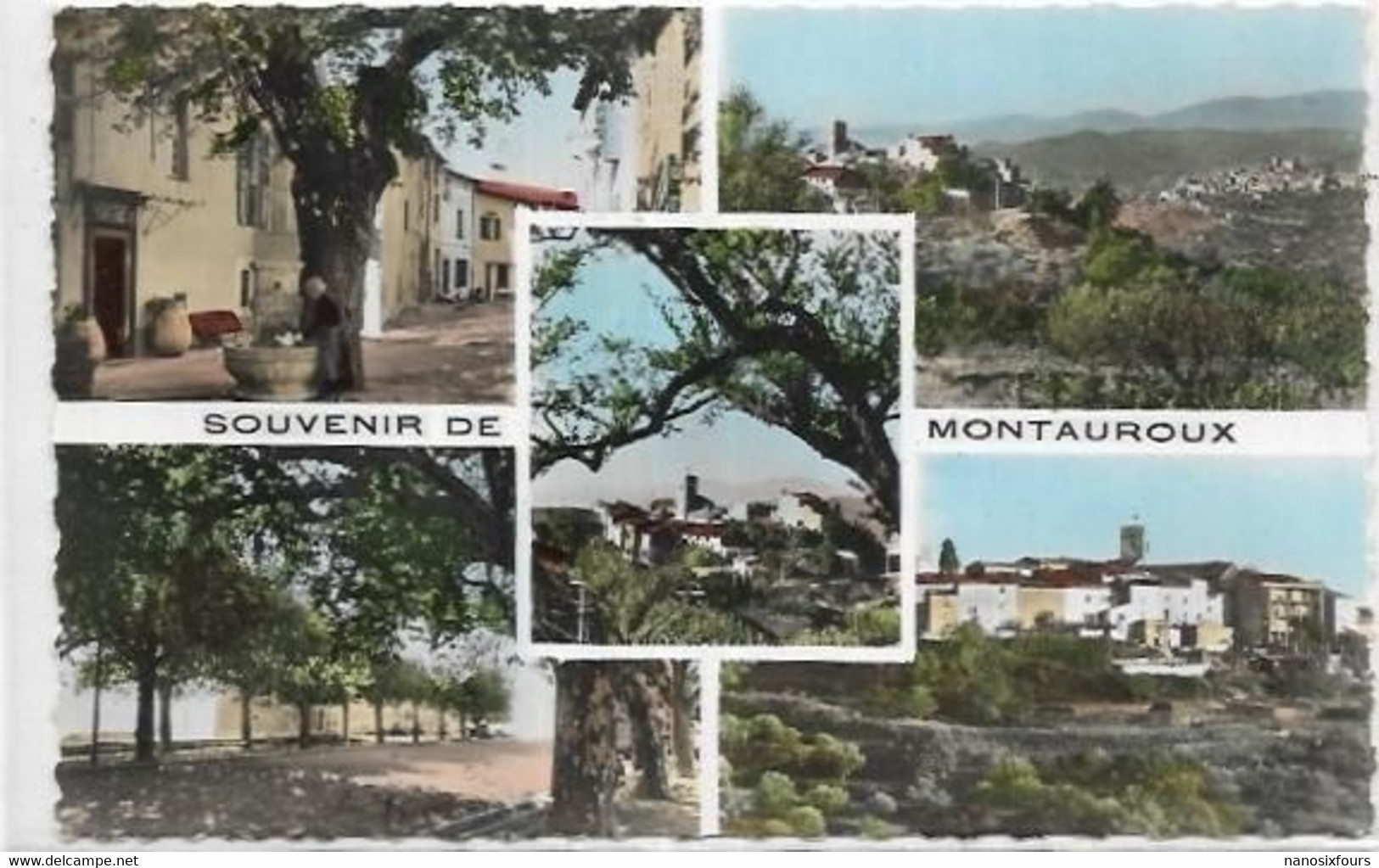 D83.  MONTAUROUX. SOUVENIR - Montauroux