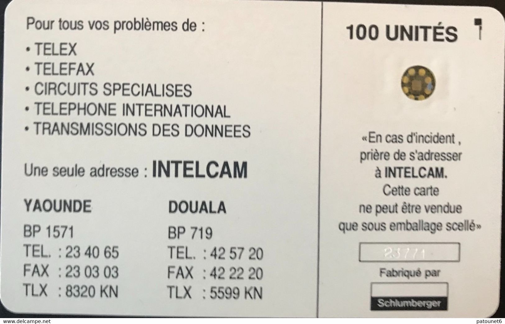 CAMEROUN  -  Phonecard  - AFNOR  -  INTELCAM - SC5AN (avec Entourage)  -  100 Unités - Cameroun