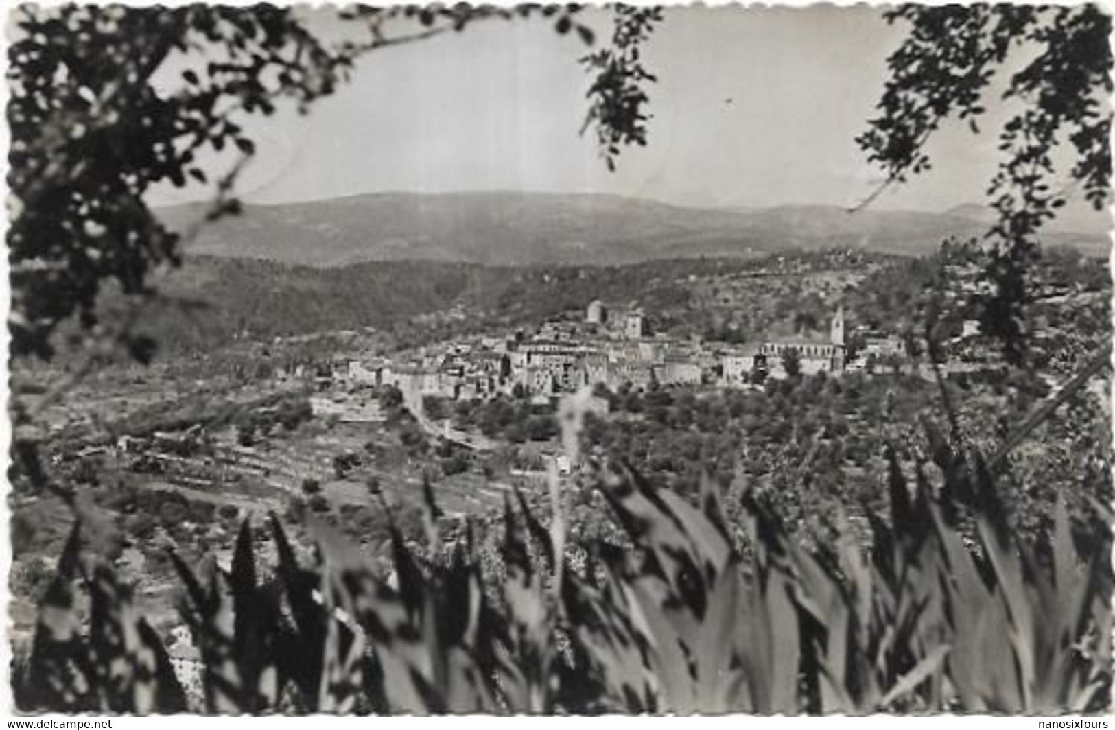 D83.  MONTAUROUX. VUE GENERALE - Montauroux