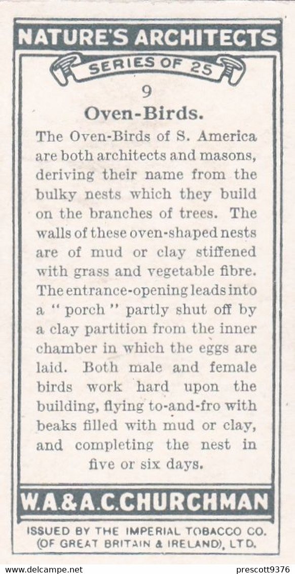 Natures Architects 1930 - 9 Oven Birds - Churchman Cigarette Card - Original - - Churchman