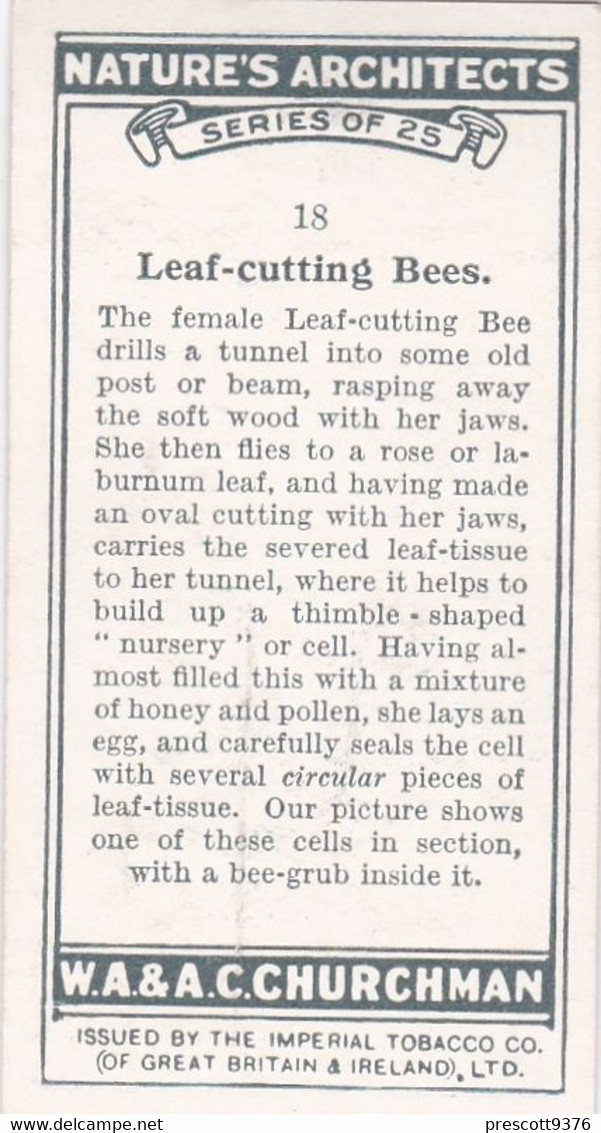 Natures Architects 1930 -  18 Leaf Cutting Bees-  Churchman Cigarette Card - Original - - Churchman