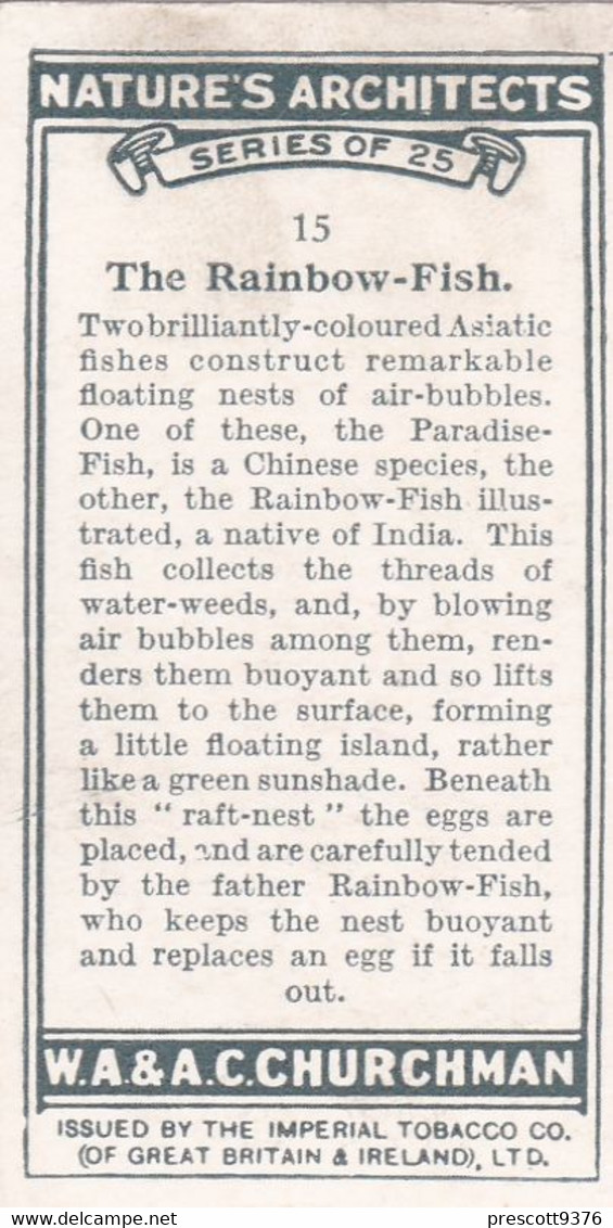 Natures Architects 1930 -  15 Rainbow Fish -  Churchman Cigarette Card - Original - - Churchman