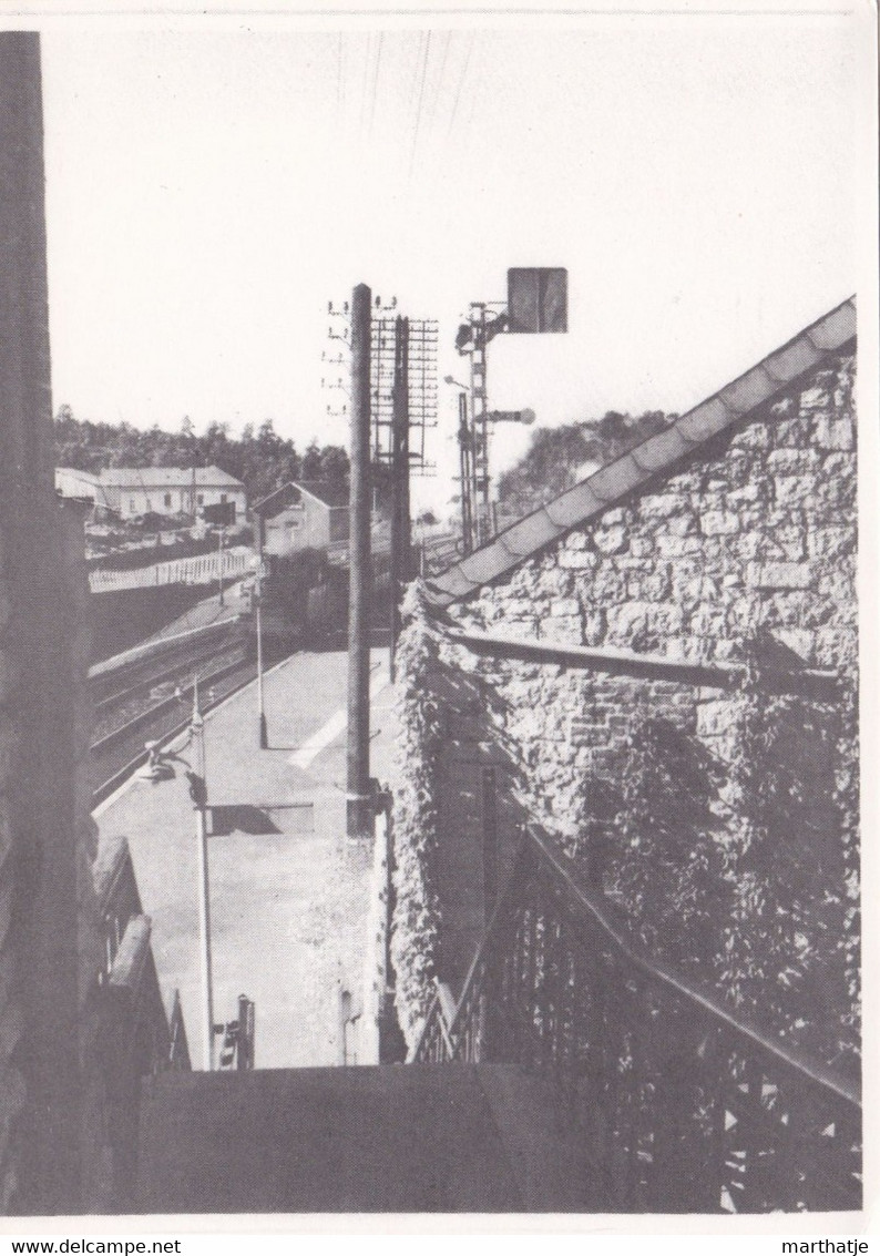 Entrée En Gare De Cerfontaine D'une Mac Intosh N° 15 (Photo C. Delizée) -1979-Musée De Cerfontaine - Cerfontaine