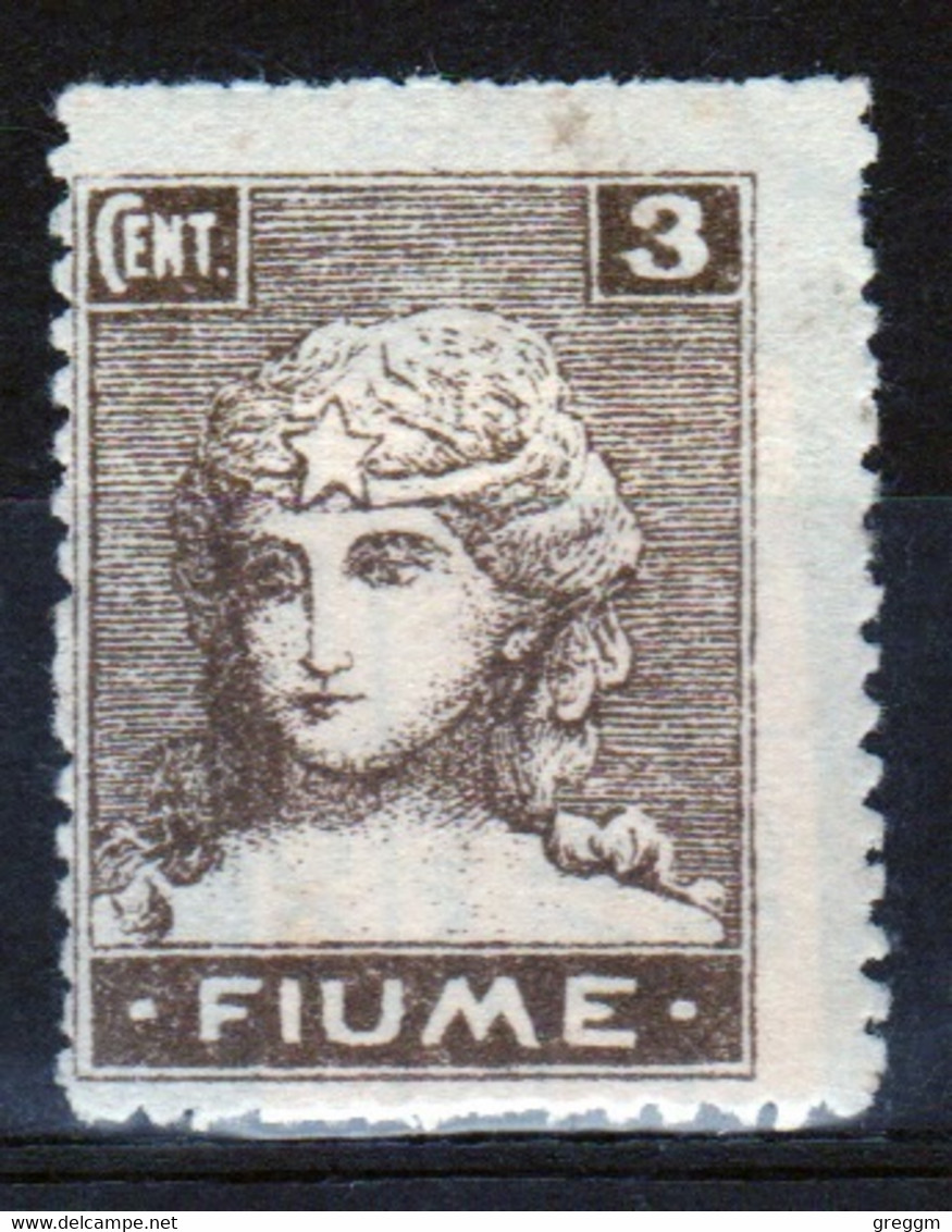 Fiume (Italy) 1919 Three Cent Stamp In Mounted Mint.  I Believe This Is Catalogue Number 33. - Occ. Yougoslave: Fiume