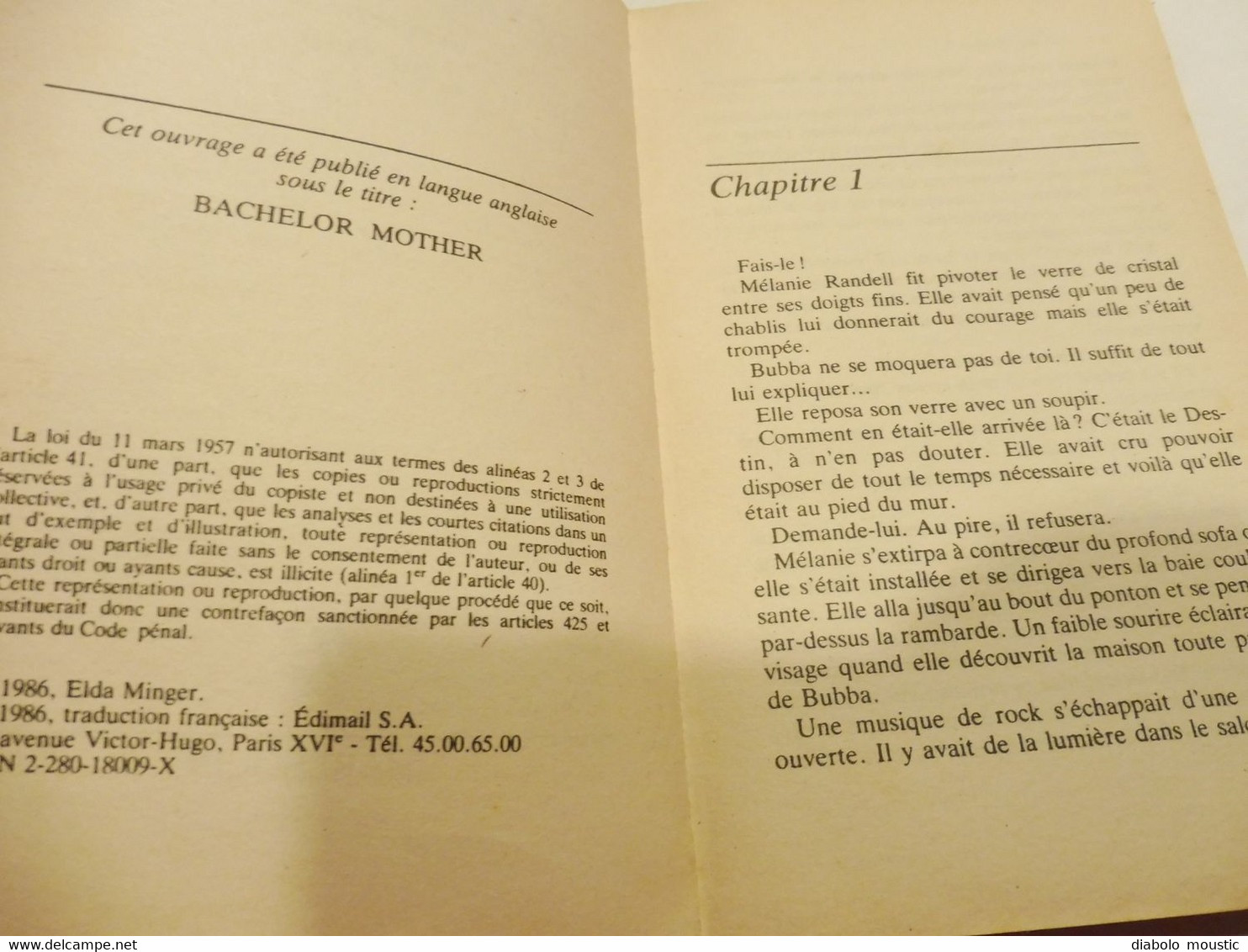 1986  ARC-EN-CIEL AU VENT Par Elda Minger  (Collection Harlequin) - Otros & Sin Clasificación