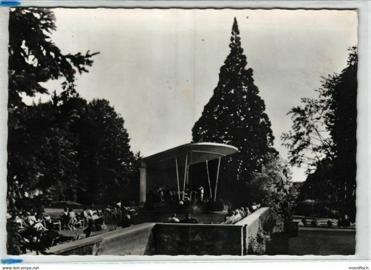 Bad Gleichenberg 1964 - Musik Terrasse Mit Mammutbaum Wellingtonia - Bad Gleichenberg