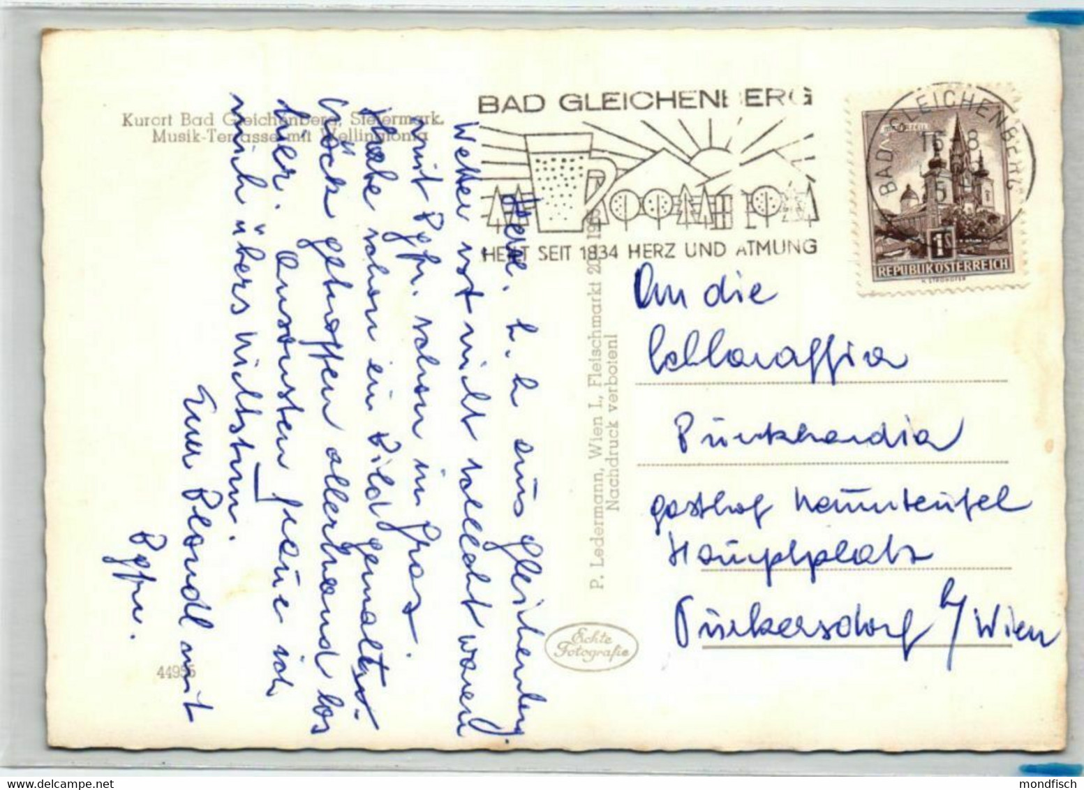 Bad Gleichenberg 1964 - Musik Terrasse Mit Mammutbaum Wellingtonia - Bad Gleichenberg