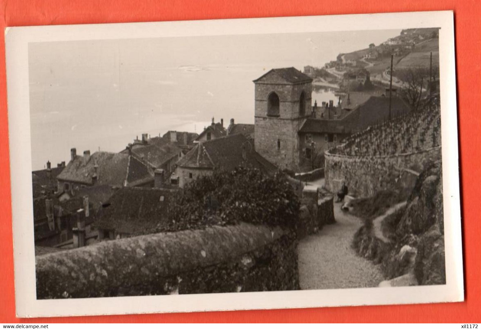 HCH-10  Carte-photo  St.-Saphorin  Lavaux Non Circulé - Saint-Saphorin