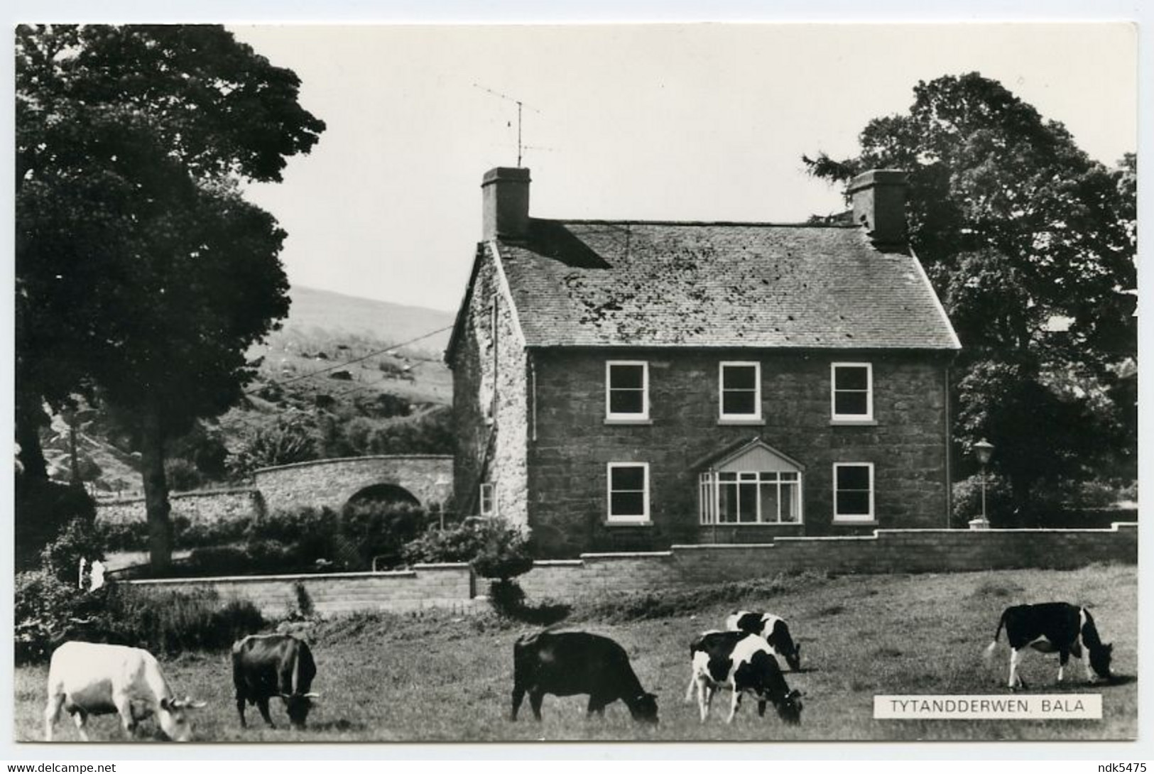 TYTANDDERWEN, BALA - Merionethshire