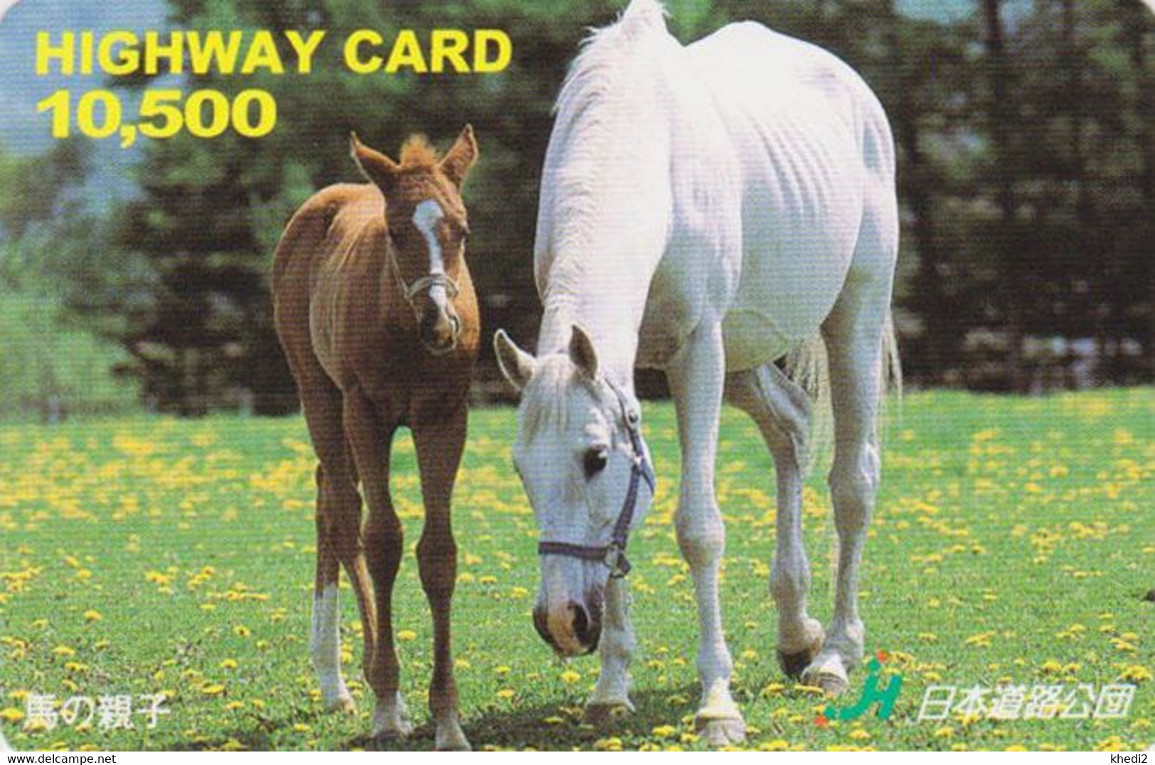 Carte Prépayée JAPON - ANIMAL - CHEVAL  - HORSE JAPAN Prepaid Highway Card - BE HW 363 - Horses