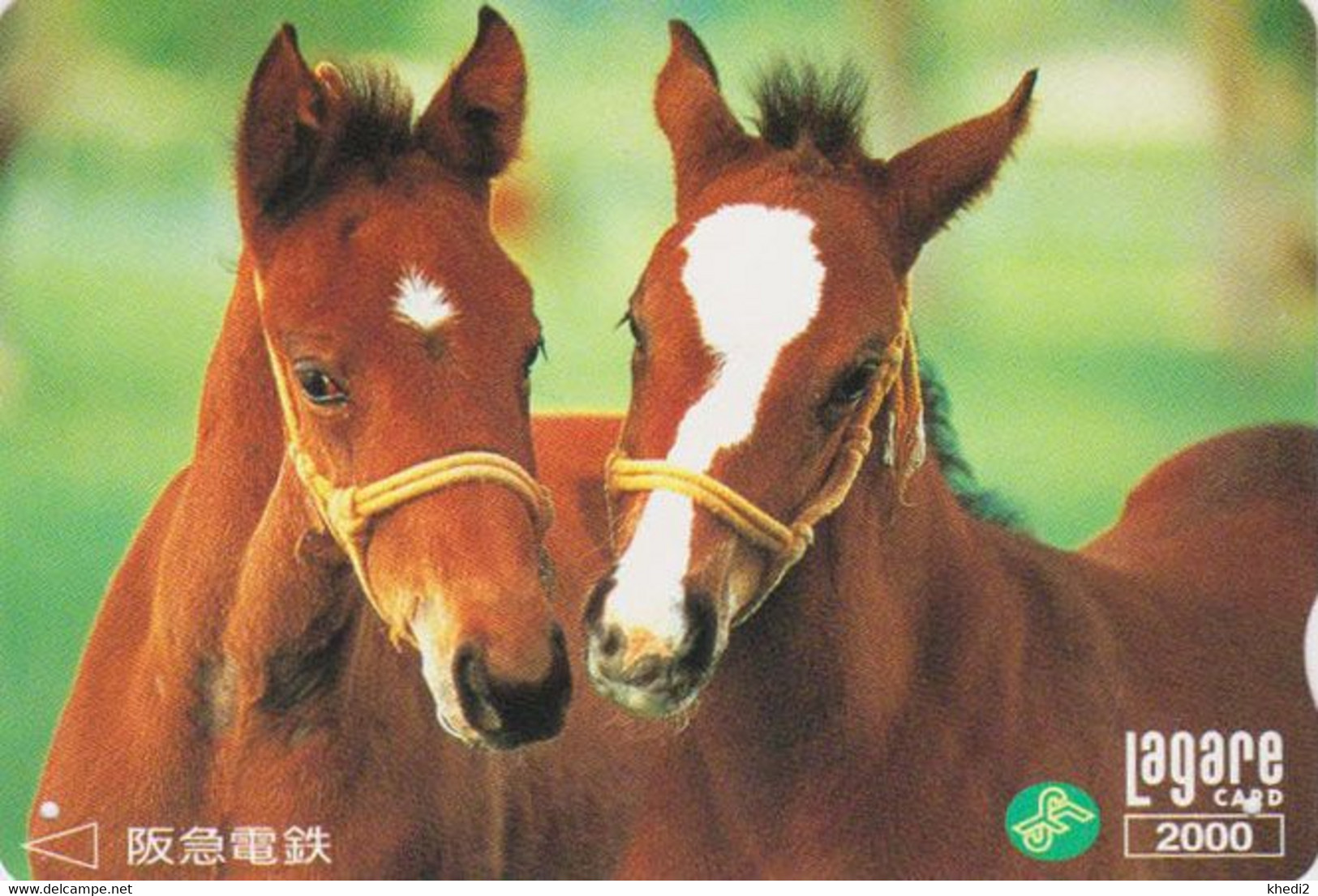 Carte Prépayée JAPON - ANIMAL - CHEVAL Chevaux - HORSE JAPAN Prepaid Kansai Lagare Transport Ticket Card - 384 - Paarden