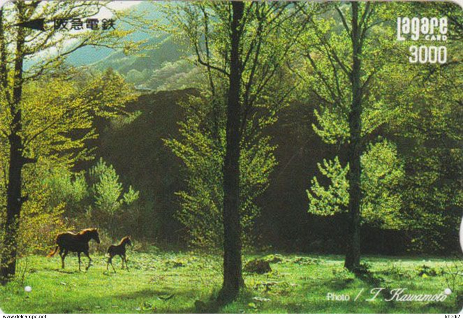 RARE Carte JAPON - ANIMAL - CHEVAL / Jument & Poulain En Forêt - HORSE JAPAN Kansai Lagare Ticket Card  BE 392 - Chevaux