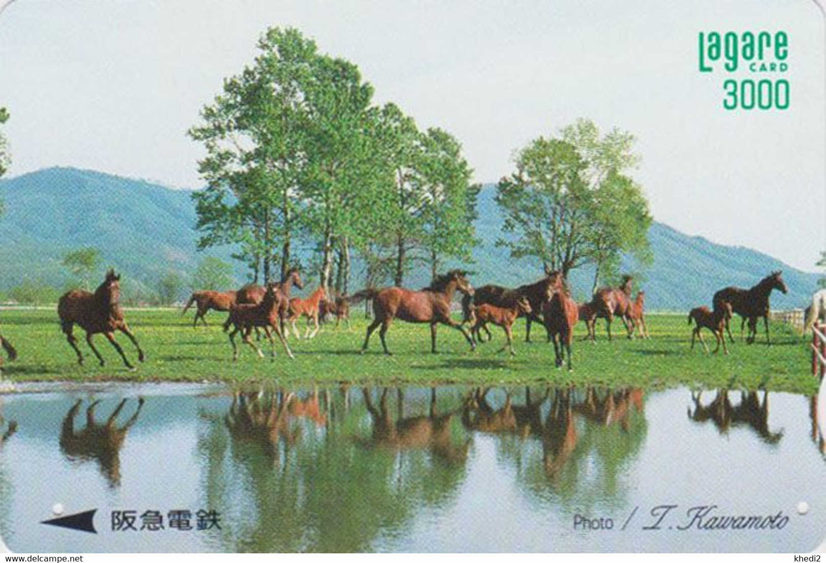 Carte Prépayée JAPON - ANIMAL - CHEVAL Chevaux - HORSE JAPAN Prepaid Kansai Lagare Ticket Card - 393 - Paarden