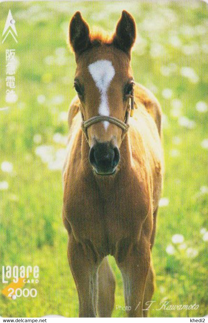 Carte Prépayée JAPON - ANIMAL - CHEVAL - HORSE JAPAN Prepaid Kansai Lagare Ticket Card - 394 - Caballos