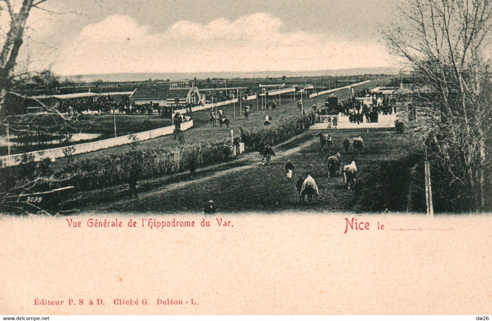 Hippisme - Vue Générale De L'Hippodrome Du Var - Nice - Carte Dos Simple Non Circulée - Horse Show