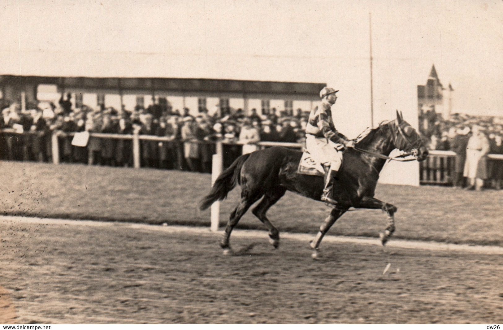 Hippisme - Course De Chevaux - Cheval "Eclipse" En Trot Monté, Cavalier à Identifier - Carte-photo Non Circulée - Ippica