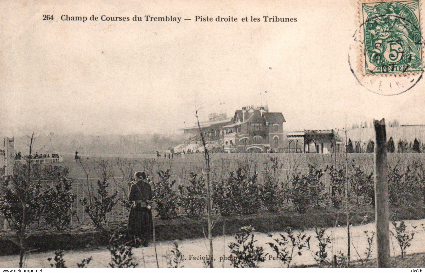 Hippisme - Le Champ De Courses Du Tremblay - Piste Droite Et Les Tribunes - Edition E. Faciolle - Carte N° 264 - Horse Show