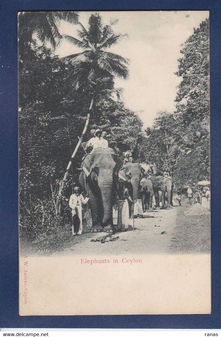 CPA éléphant Non Circulé Ceylan Asie Ceylon - Elephants