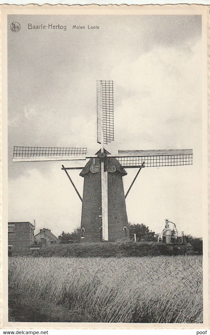 Baarle-Hertog : Molen Loots - Baarle-Hertog