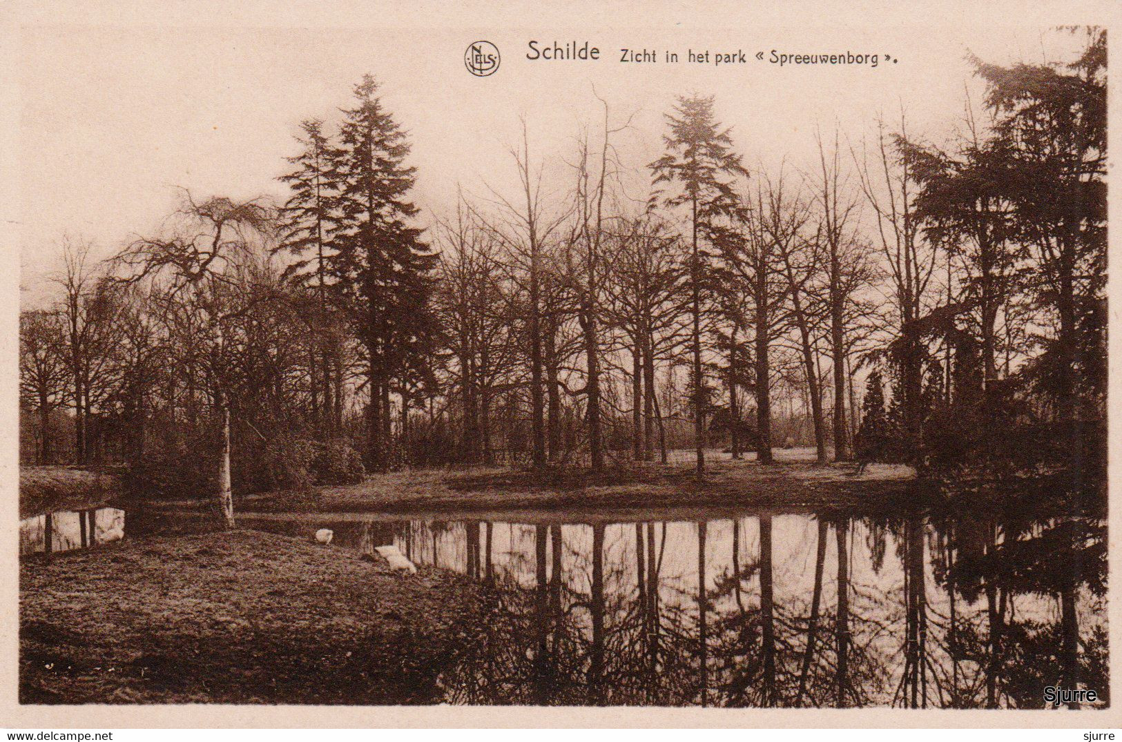 Schilde - Zucht In Het Park "Spreeuwenborg" Kasteel - Château - Schilde