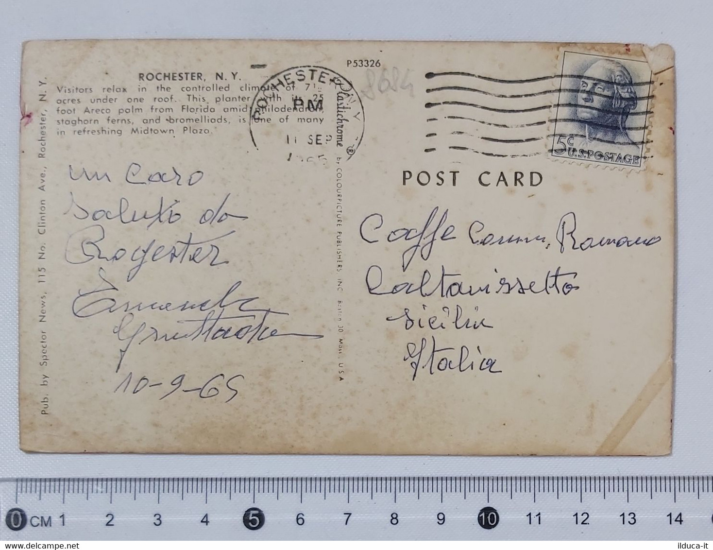 08684 Post Card - Rochester - Shopping Centre - New York - U.S.A. - 1965 - Rochester