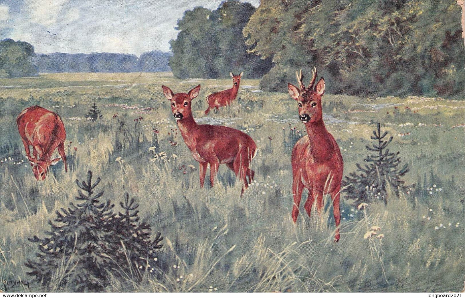 GEMÄLDE REHE 1958 / P148 - Autres & Non Classés