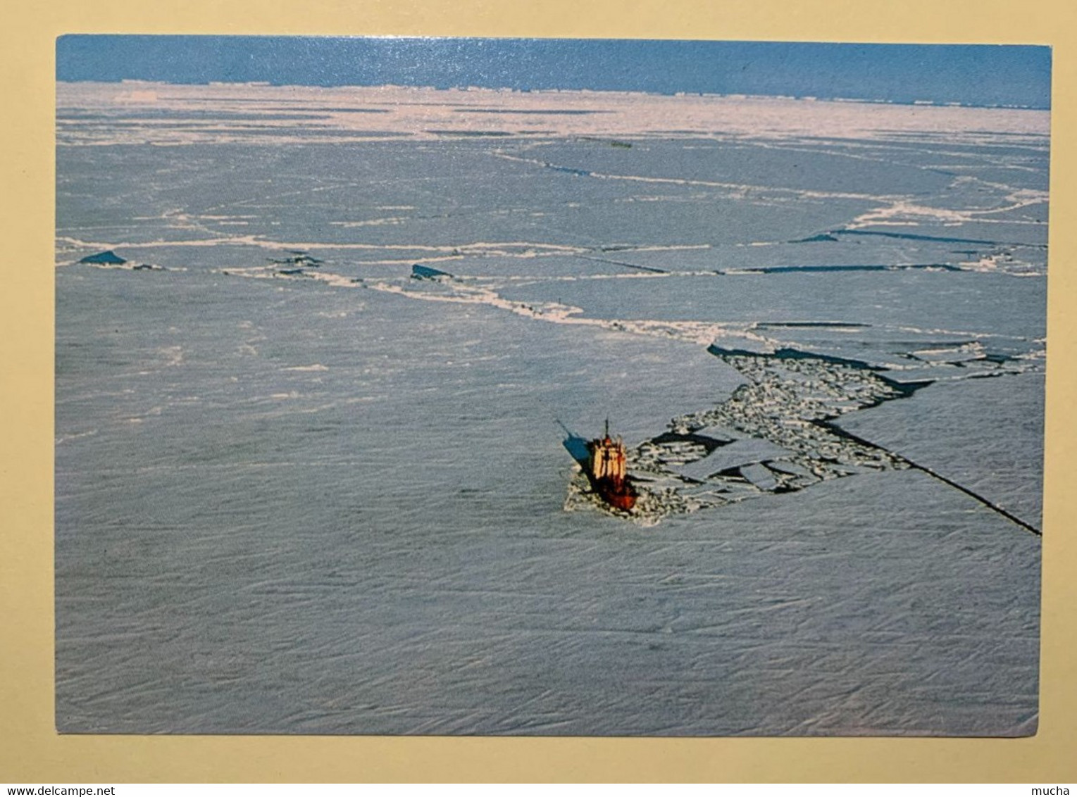 16243 -  Terre Adélie Le Thala Dan Dans La Banquise Janvier 1977 Carte Des EPF - TAAF : Terres Australes Antarctiques Françaises