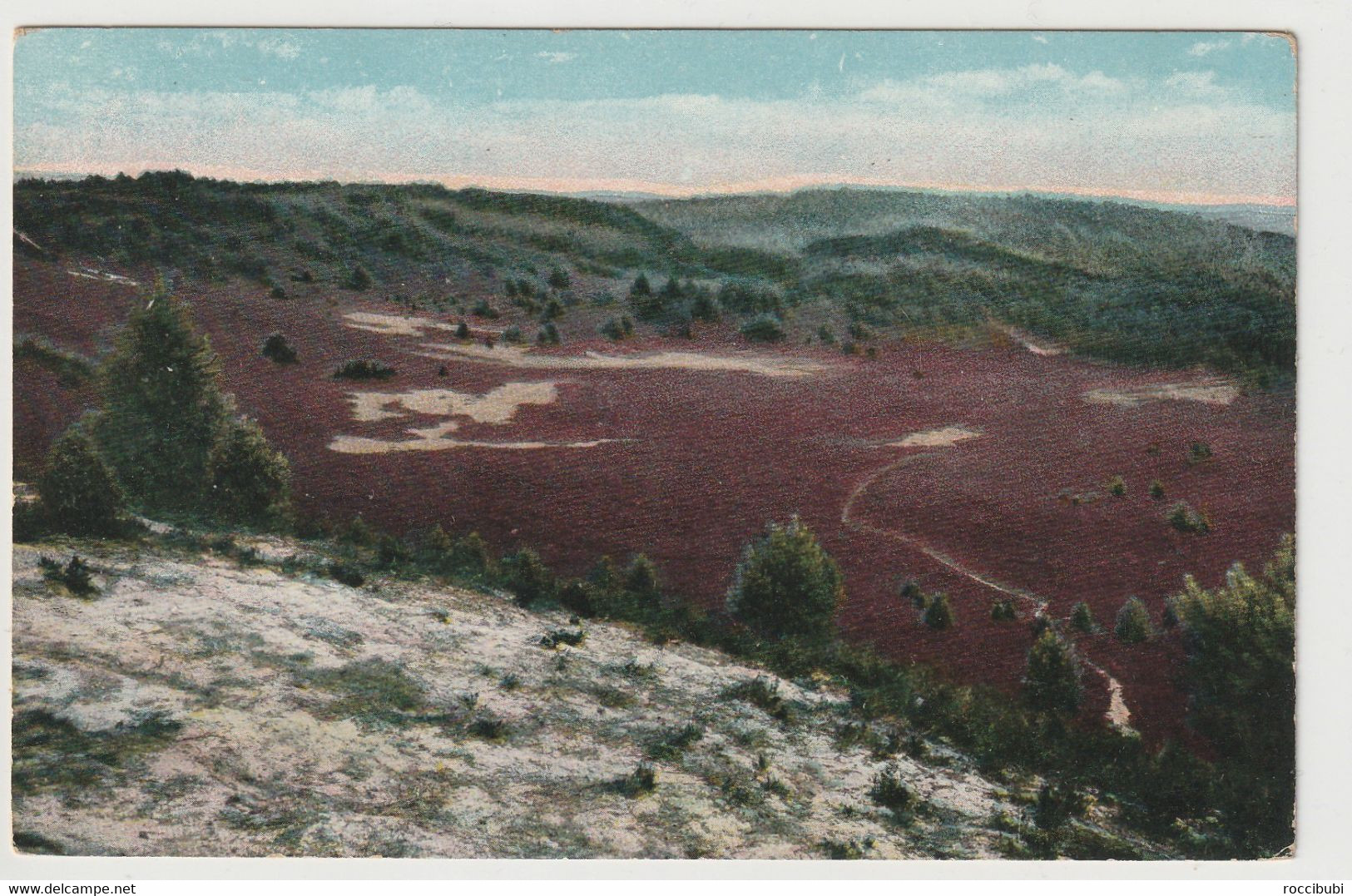 Lüneburger Heide - Lüneburger Heide