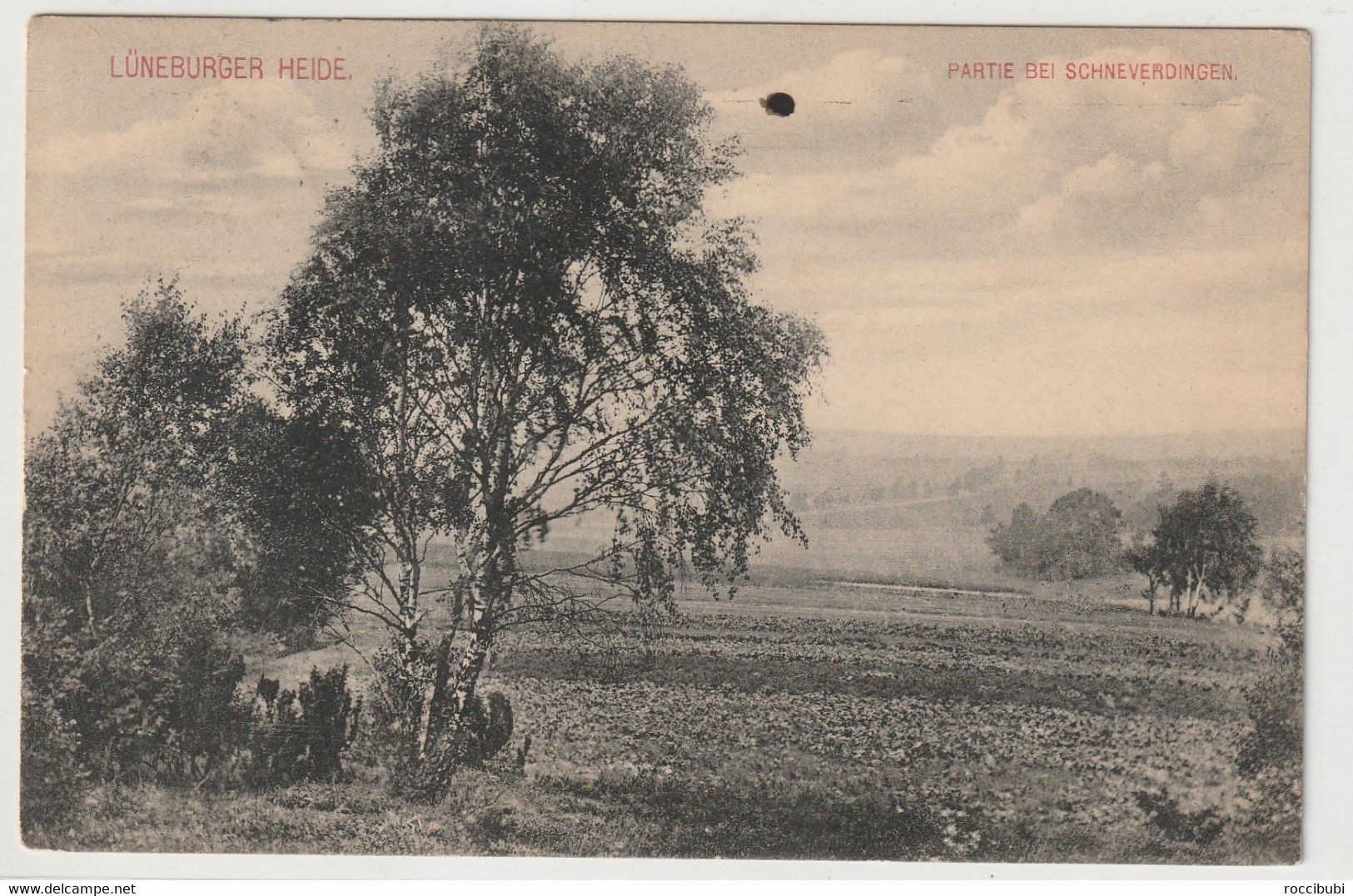 Lüneburger Heide - Lüneburger Heide