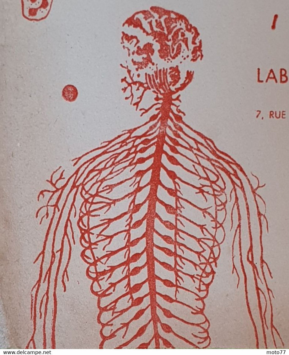 Buvard 321 - Laboratoire Dexo - HEMATON - Squelette - Etat D'usage : Voir Photos-13.5x20 Cm Environ - Année 1950 - Produits Pharmaceutiques