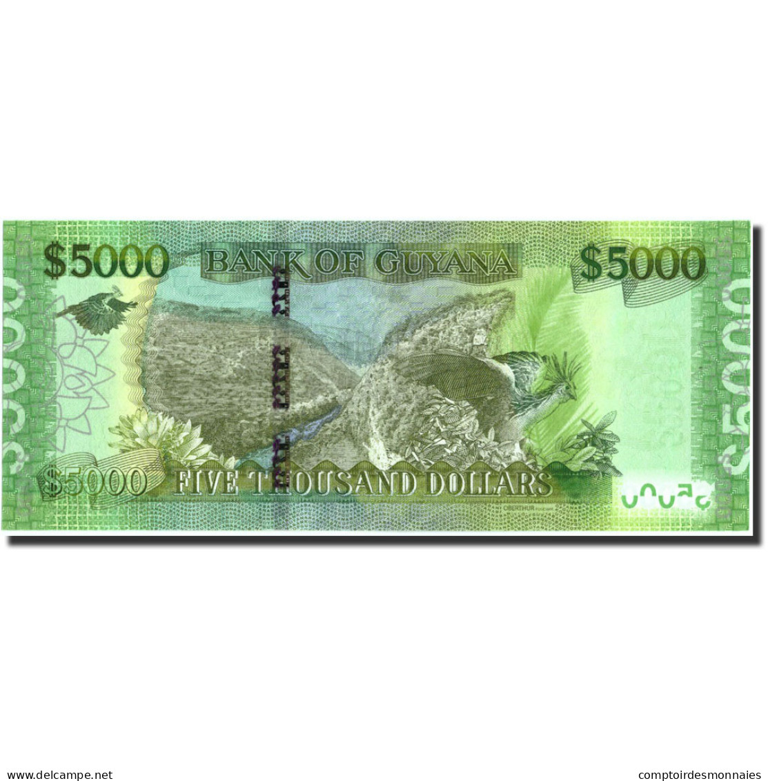 Billet, Guyana, 5000 Dollars, Undated (2013), Undated, KM:40, SPL - Guyana