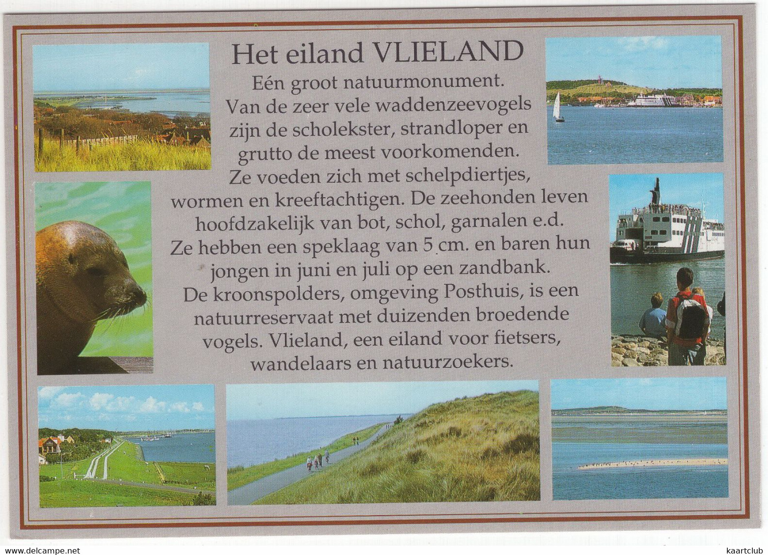 Het Eiland Vlieland - (Wadden, Nederland/Holland) - VLD 72 - Vlieland