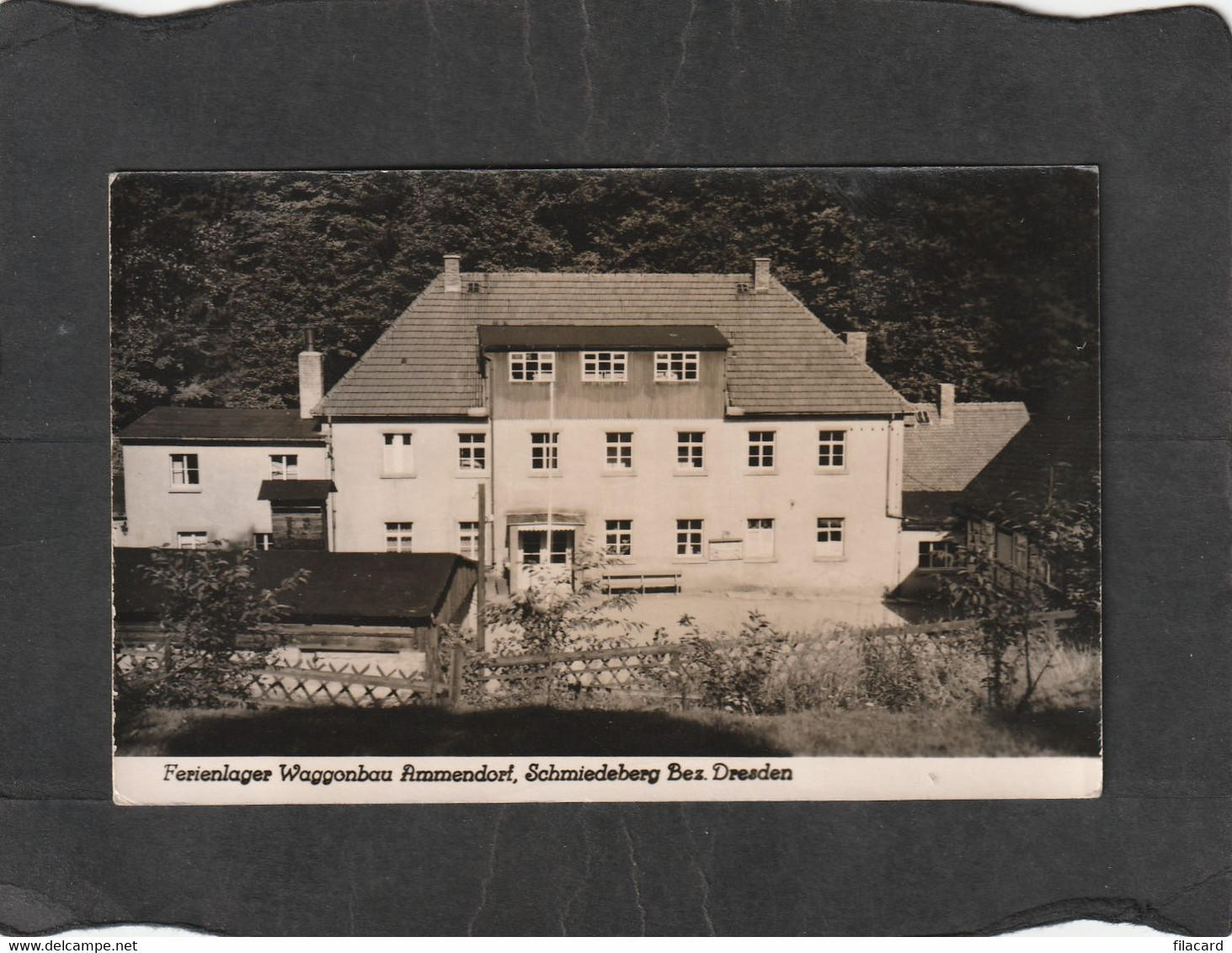 106484        Germania,  Ferienlager  Waggonbau  Ammendorf,  Schmiedeberg  Bez.  Dresden,  VGSB - Schmiedeberg (Erzgeb.)
