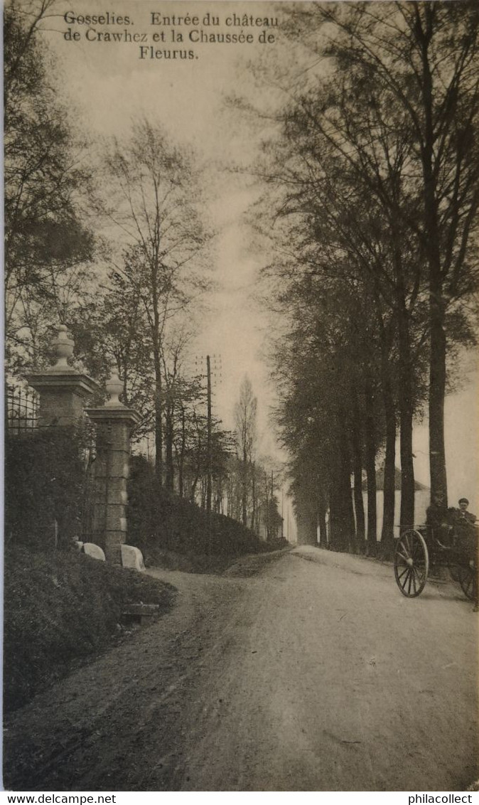 Gosselies (Charleroi) Chaussee De Fleurus Et Entree Du Chateau De Crawhez 1912 - Autres & Non Classés